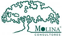 MOLINA CONSULTORES